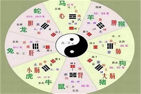 慧 五行|慧字的五行属性